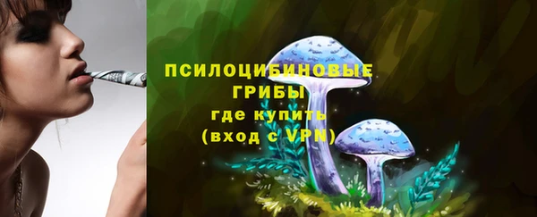 эйфоретик Абдулино