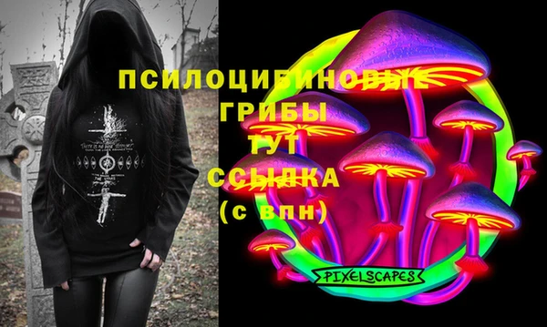 ПСИЛОЦИБИНОВЫЕ ГРИБЫ Нефтегорск