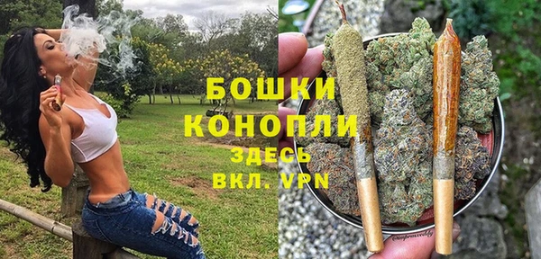прущая мука Нея