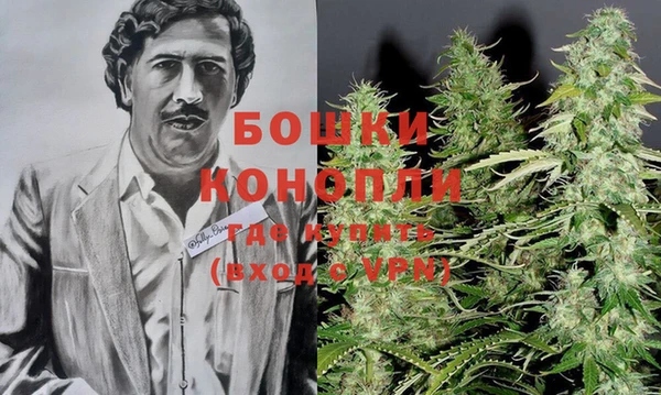 прущая мука Нея